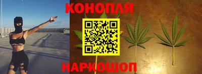 прущие крисы Апшеронск