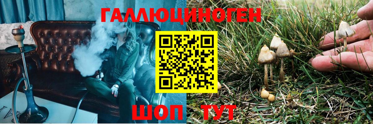 Галлюциногенные грибы ЛСД Амурск