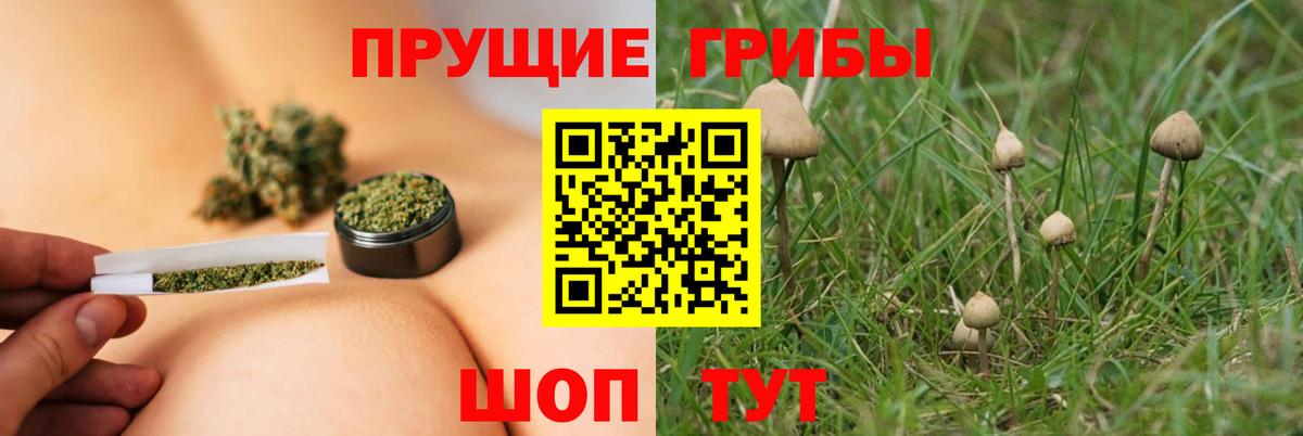 Амурск  Псилоцибиновые грибы MAGIC MUSHROOMS  Галлюциногенные грибы MAGIC MUSHROOMS  Вход с VPN 